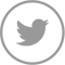 Twitter Icon